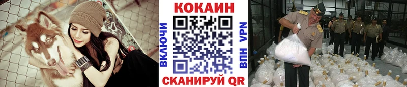 Купить где  Спас-Клепики  COCAIN VHQ 