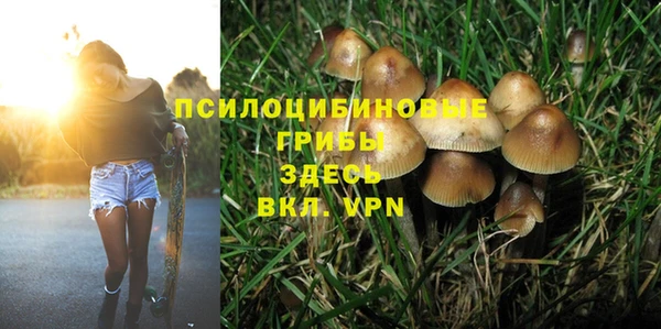 индика Армянск