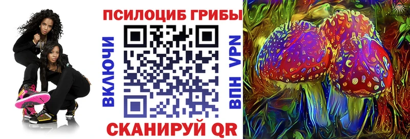 Купить закладки Спас-Клепики Псилоцибиновые грибы мухоморы